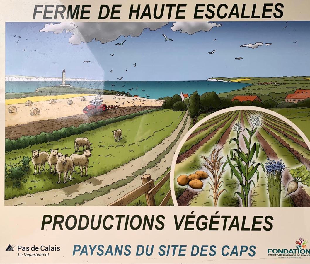 Ferme De La Haute-Escalles Esterno foto